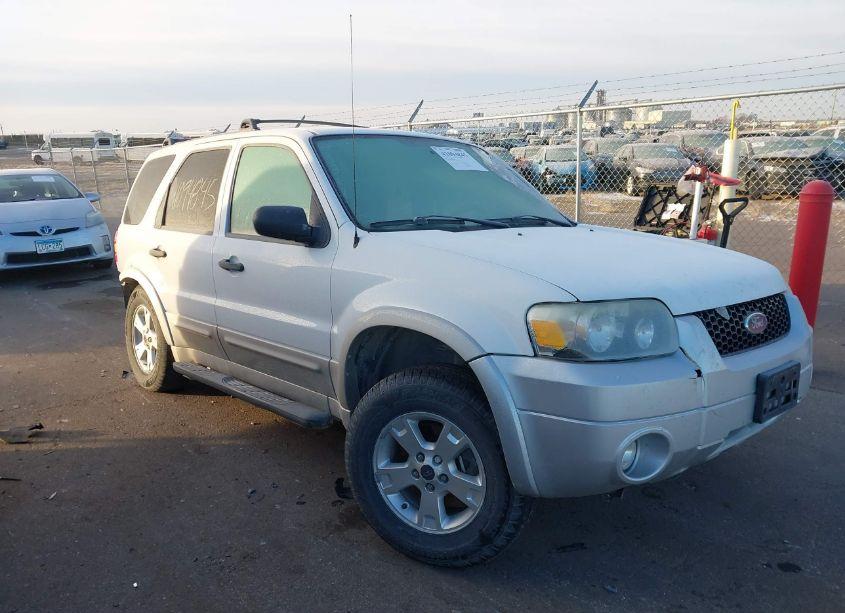 2007 Ford Escape XLT/XLT SPORT (VIN 1FMYU93137KB07098) main photo
