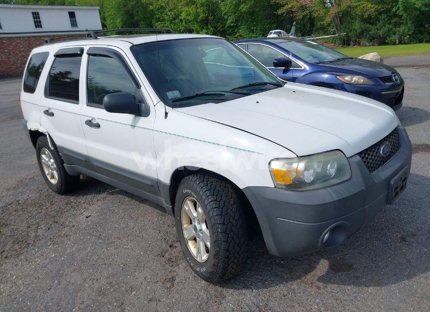 2007 Ford Escape XLT/XLT SPORT (VIN 1FMYU93137KC07508) main photo