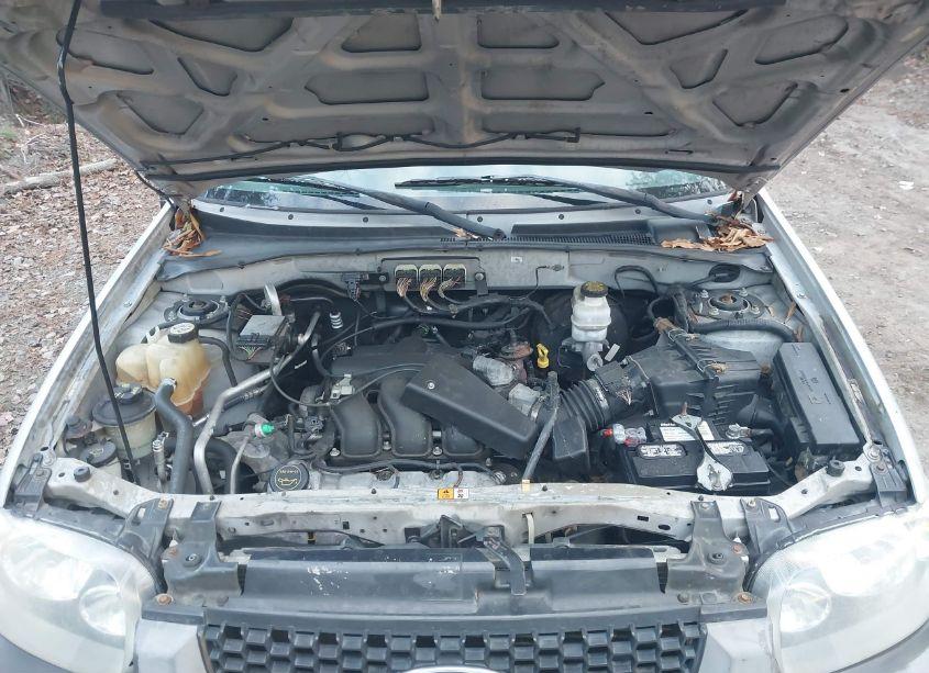 Photo 10 of 2007 Ford Escape XLT/XLT SPORT (VIN 1FMYU93147KC04357)