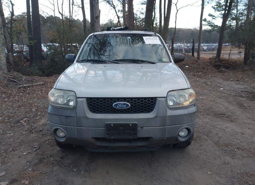 Photo 12 of 2007 Ford Escape XLT/XLT SPORT (VIN 1FMYU93147KC04357)