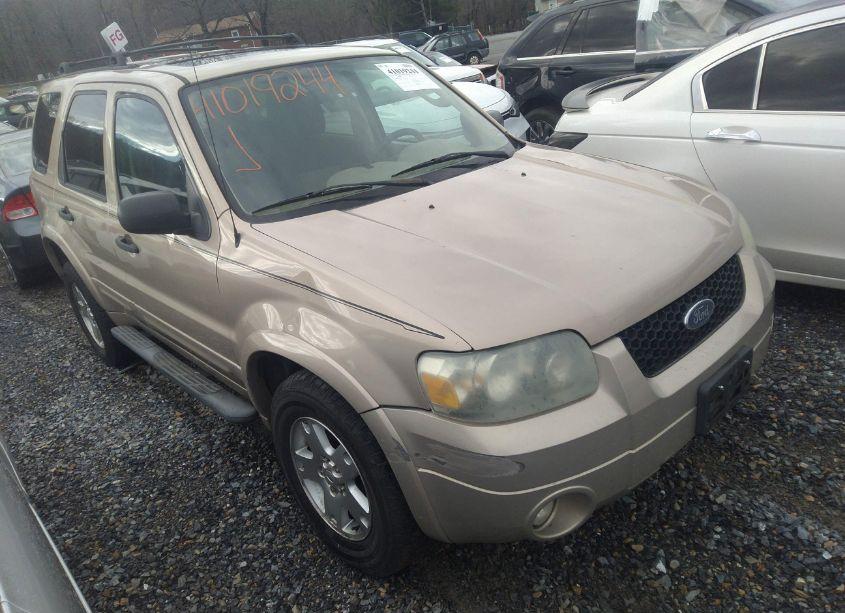 2007 Ford Escape XLT/XLT SPORT (VIN 1FMYU93157KA28385) main photo