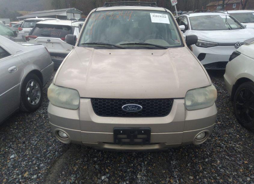 Photo 13 of 2007 Ford Escape XLT/XLT SPORT (VIN 1FMYU93157KA28385)