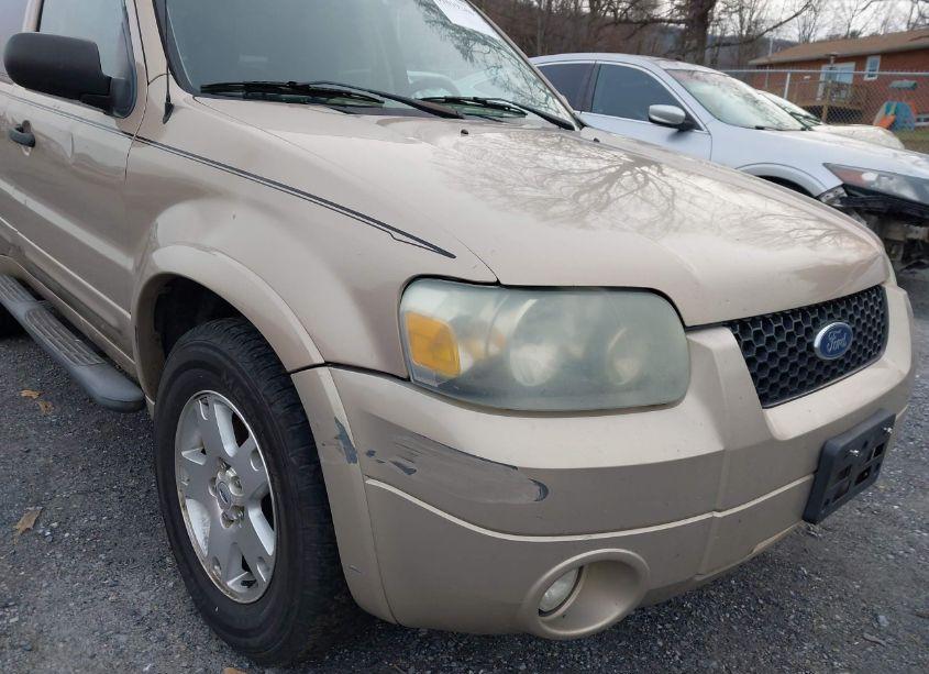 Photo 22 of 2007 Ford Escape XLT/XLT SPORT (VIN 1FMYU93157KA28385)