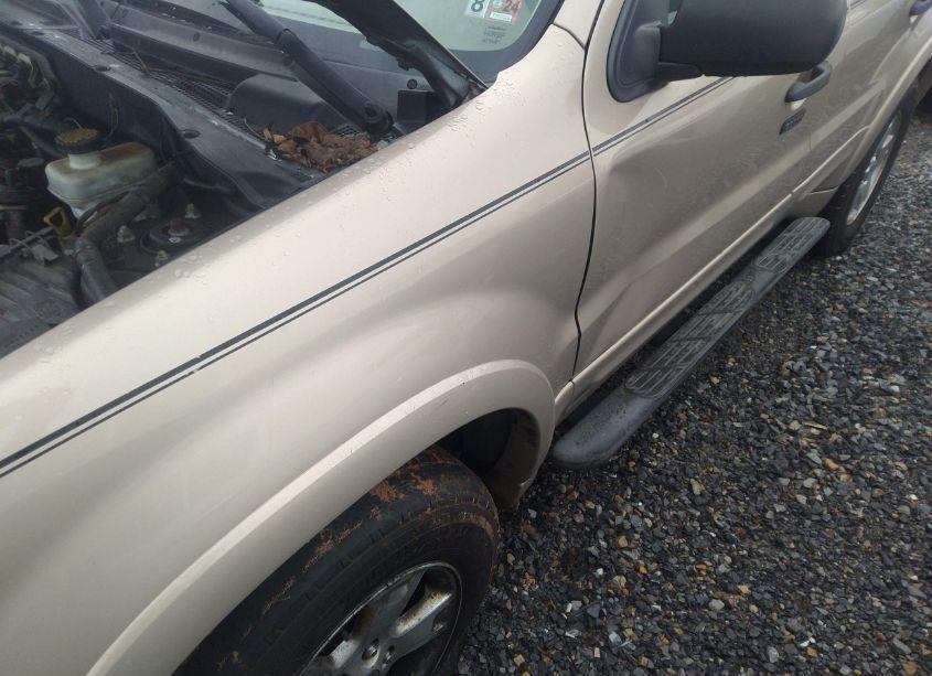 Photo 6 of 2007 Ford Escape XLT/XLT SPORT (VIN 1FMYU93157KA28385)