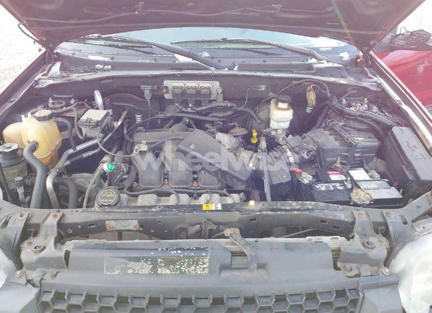 Photo 10 of 2005 Ford Escape XLT (VIN 1FMYU93175KD62432)