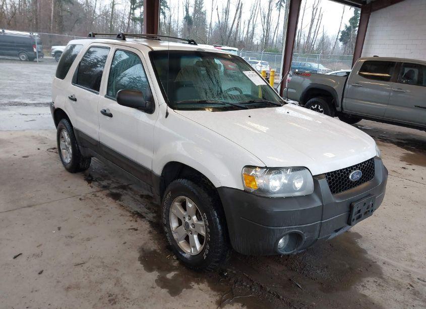 2005 Ford Escape XLT (VIN 1FMYU93185KD98677) main photo