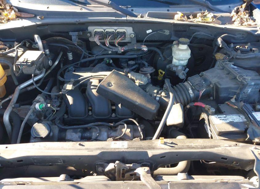 Photo 10 of 2007 Ford Escape XLT/XLT SPORT (VIN 1FMYU93187KA90976)