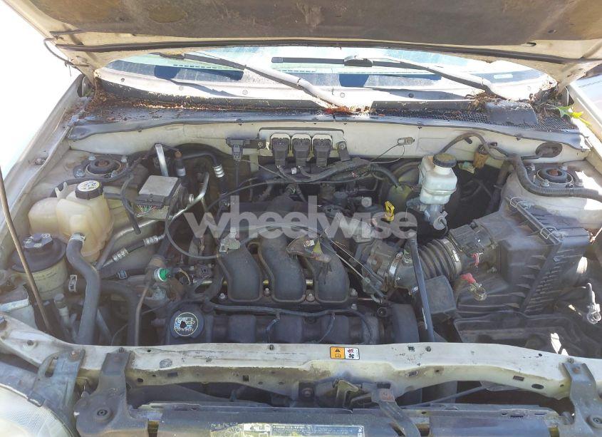 Photo 10 of 2005 Ford Escape XLT (VIN 1FMYU93195DA10571)