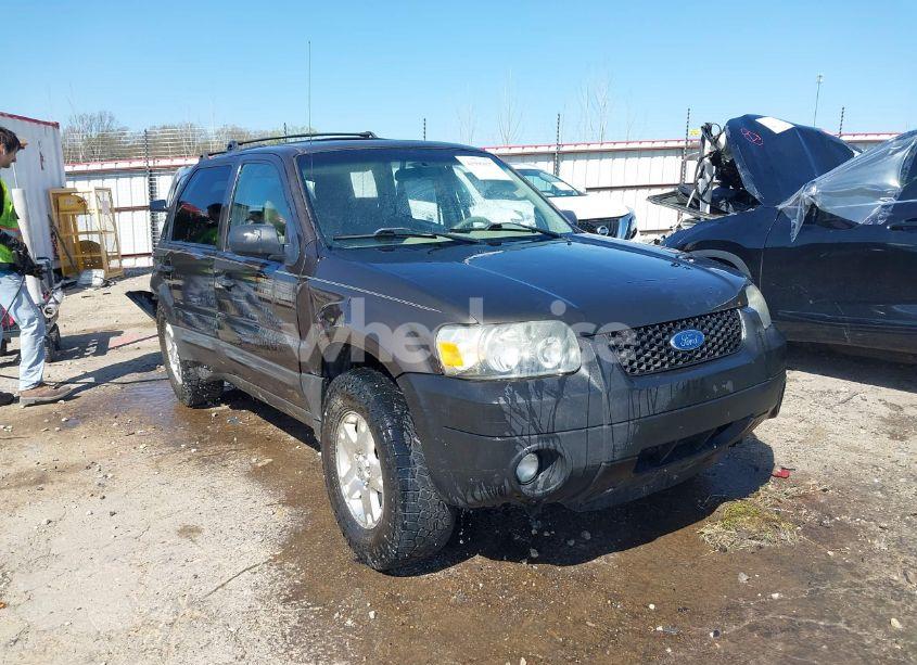 2007 Ford Escape XLT/XLT SPORT (VIN 1FMYU93197KB68777) main photo