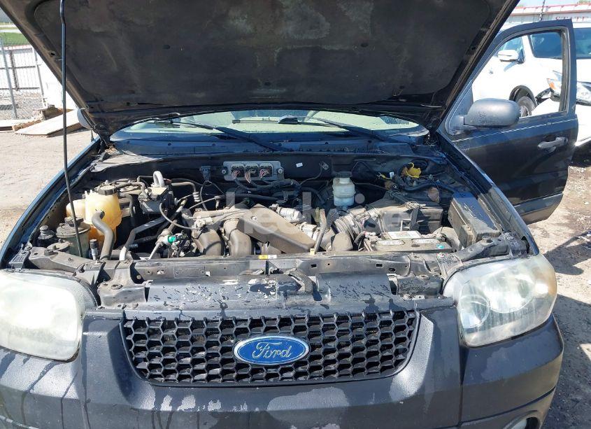Photo 10 of 2007 Ford Escape XLT/XLT SPORT (VIN 1FMYU93197KB68777)