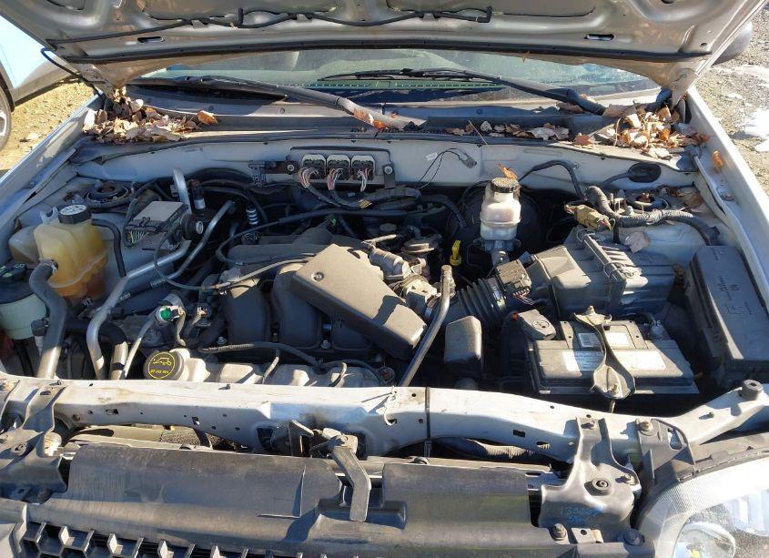 Photo 10 of 2007 Ford Escape XLT/XLT SPORT (VIN 1FMYU931X7KC09093)