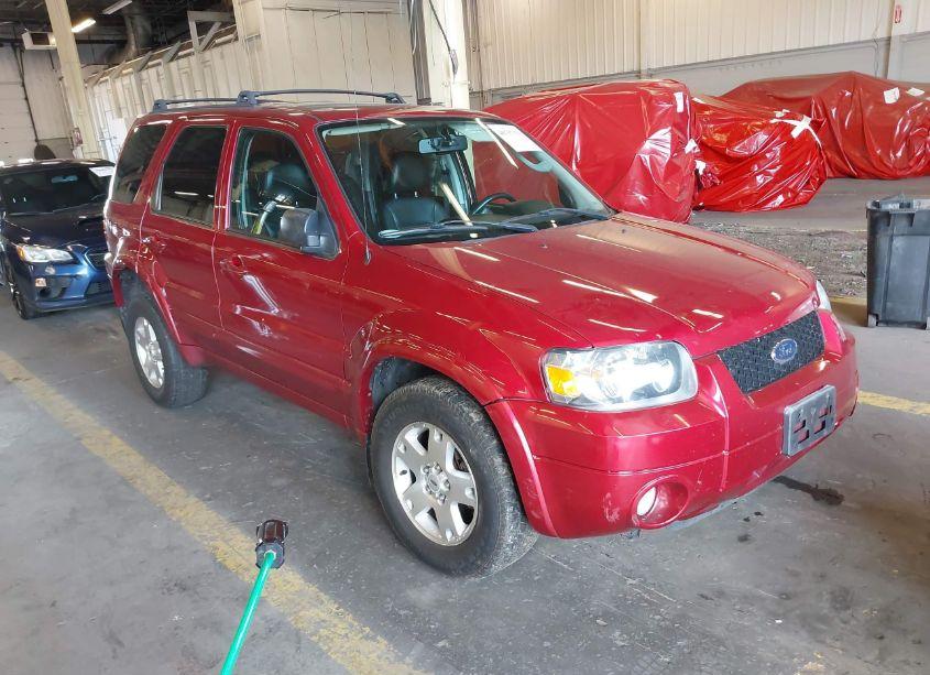 2007 Ford Escape LIMITED (VIN 1FMYU94127KA43943) main photo