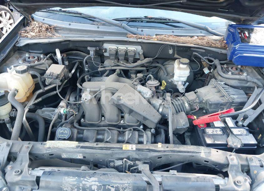 Photo 10 of 2006 Ford Escape LIMITED (VIN 1FMYU94196KA27821)