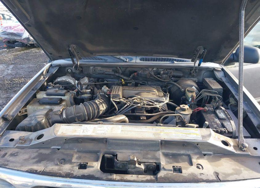 Photo 10 of 1999 Ford Explorer EDDIE BAUER/LIMITED/XLT (VIN 1FMZU35P2XZB35081)