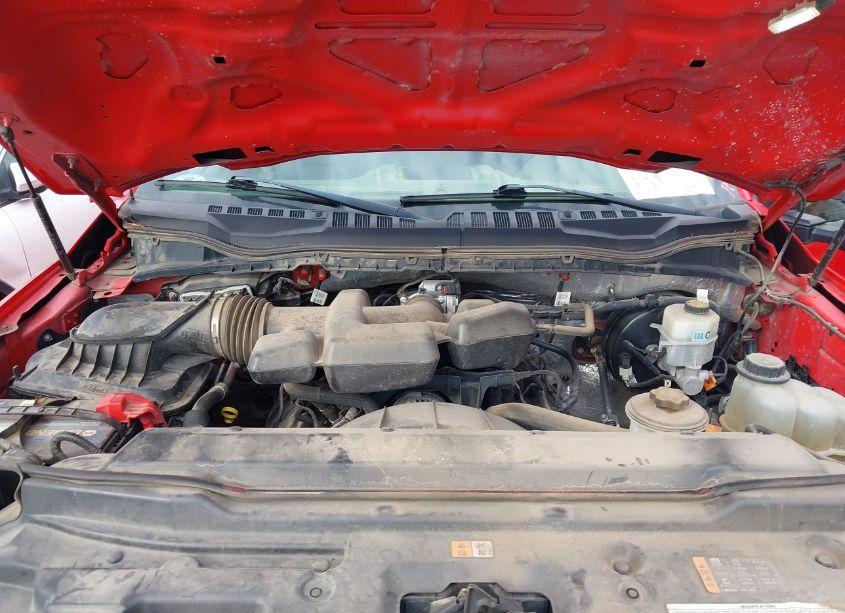 Photo 10 of 2019 Ford F-250 XL (VIN 1FT7W2A65KEF31454)