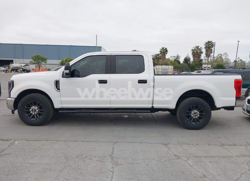 Photo 14 of 2019 Ford F-250 XL (VIN 1FT7W2A66KEF60607)