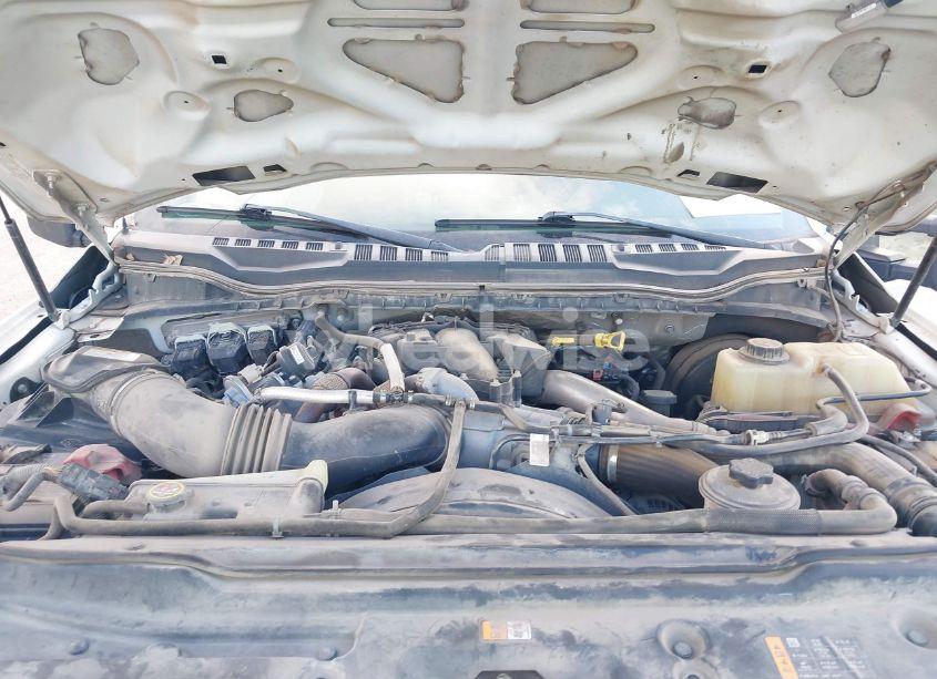 Photo 10 of 2019 Ford F-250 XL (VIN 1FT7W2AT2KEC50069)