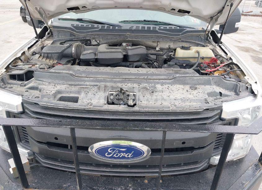 Photo 10 of 2019 Ford F-250 XL (VIN 1FT7W2B63KED86395)