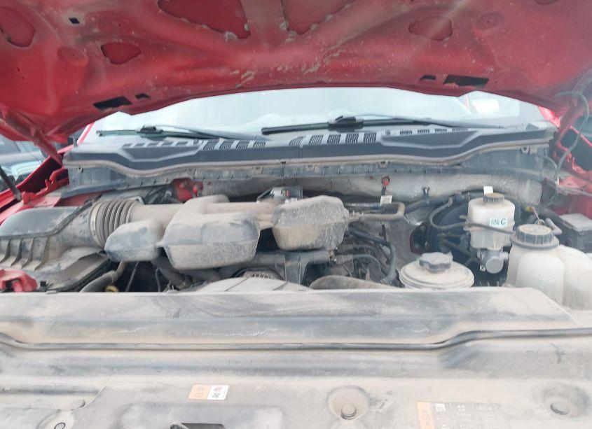 Photo 10 of 2019 Ford F-250 XLT (VIN 1FT7W2B65KEF59219)