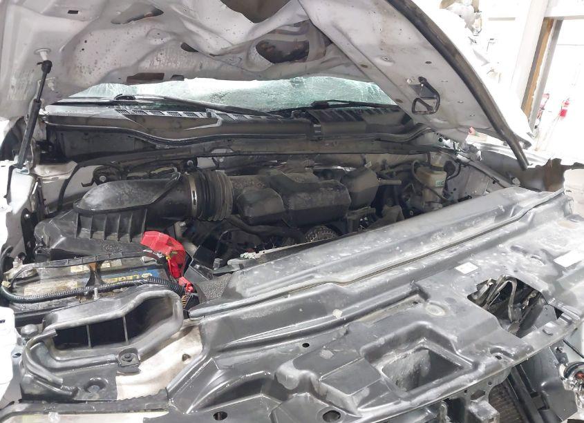 Photo 10 of 2019 Ford F-250 XL (VIN 1FT7W2B68KEG87356)