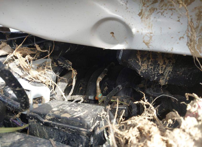 Photo 10 of 2020 Ford F250 SUPER DUTY (VIN 1FT7W2BN5LED18088)