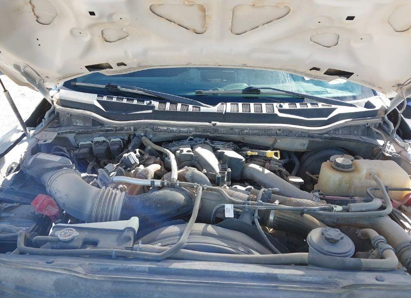 Photo 10 of 2019 Ford F-250 XL (VIN 1FT7W2BT0KEF52958)