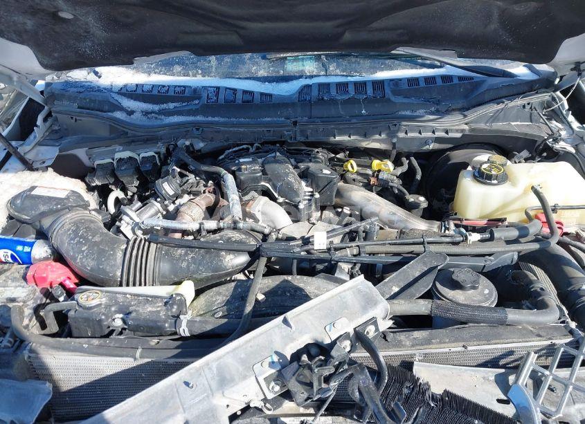 Photo 10 of 2019 Ford F-250 PLATINUM (VIN 1FT7W2BT3KEE38288)