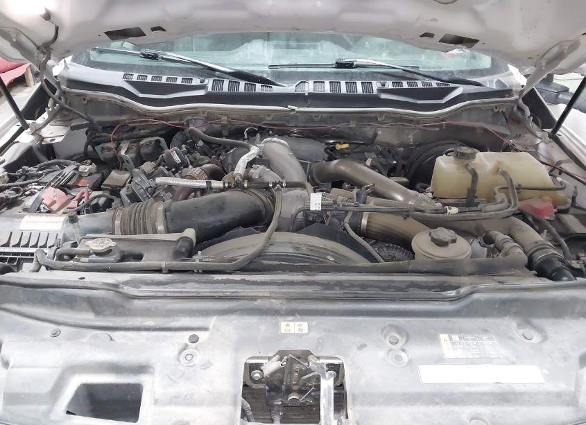 Photo 10 of 2020 Ford F-250 XLT (VIN 1FT7W2BT3LEE46411)