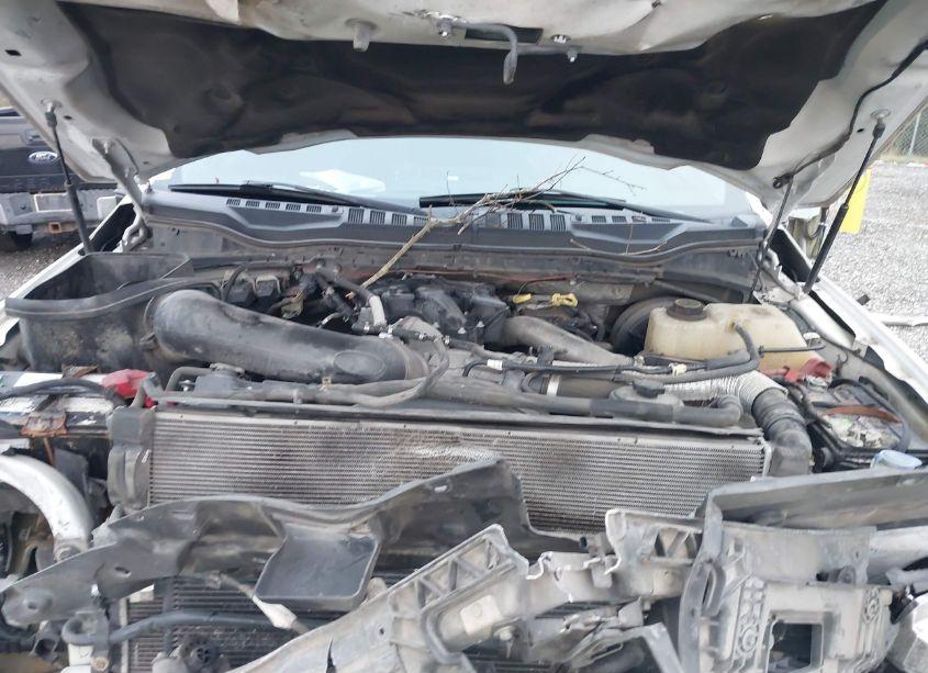 Photo 10 of 2017 Ford F-250 XL (VIN 1FT7W2BT6HEF43514)