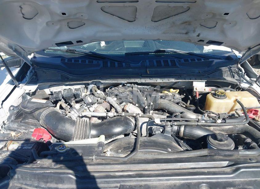 Photo 10 of 2019 Ford F-250 XL (VIN 1FT7W2BT6KEC91075)