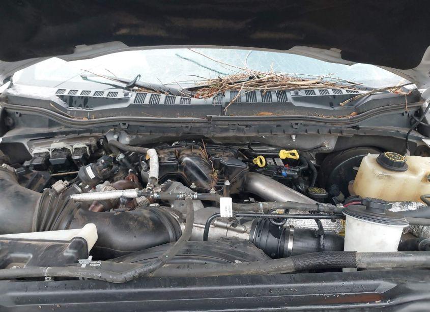 Photo 10 of 2017 Ford F-250 PLATINUM (VIN 1FT7W2BT7HED40891)