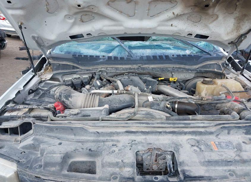 Photo 10 of 2019 Ford F-250 XLT (VIN 1FT7W2BT7KEF16023)