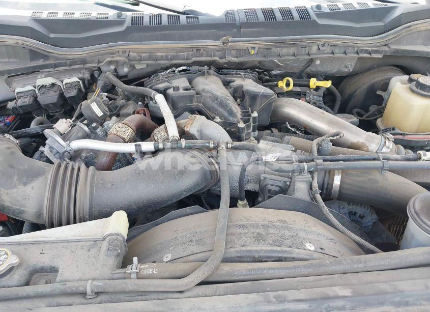 Photo 10 of 2019 Ford F-250 XL (VIN 1FT7W2BT7KEG38882)