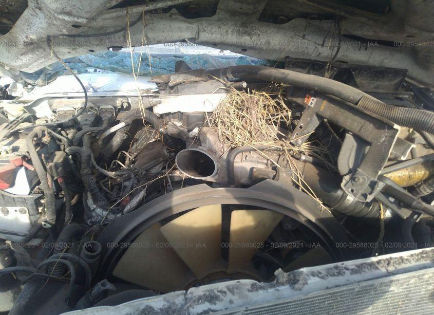 Photo 10 of 2011 Ford F-250 XLT (VIN 1FT7W2BT8BEA81299)