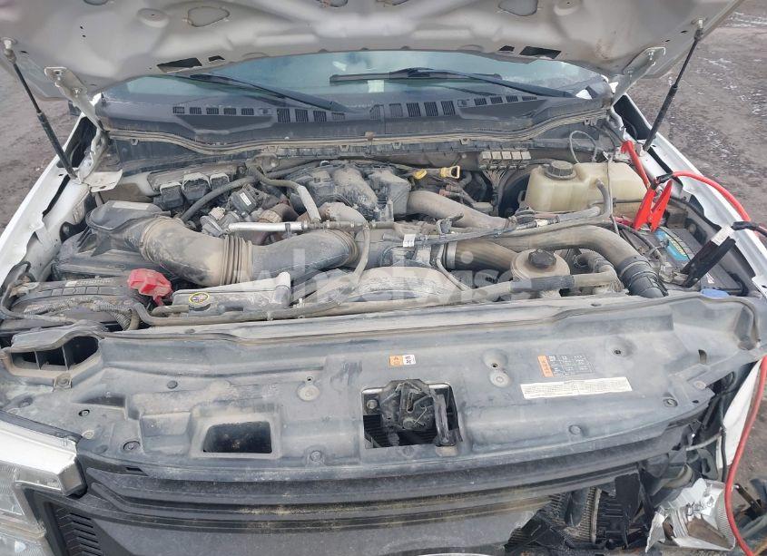 Photo 10 of 2019 Ford F-250 XL (VIN 1FT7W2BT8KEC57512)