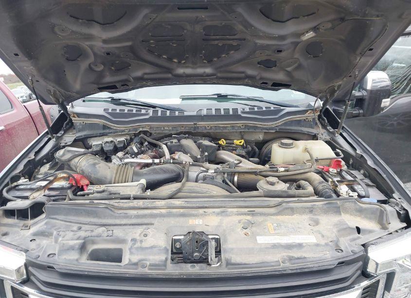 Photo 10 of 2019 Ford F-250 XLT (VIN 1FT7W2BT8KED45606)