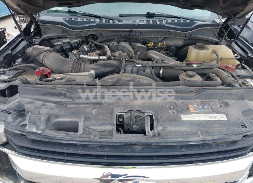 Photo 10 of 2019 Ford F-250 XLT (VIN 1FT7W2BT8KEF32117)