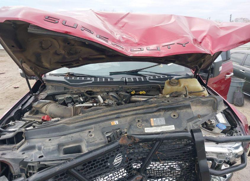 Photo 10 of 2019 Ford F-250 XLT (VIN 1FT7W2BT9KEF93346)