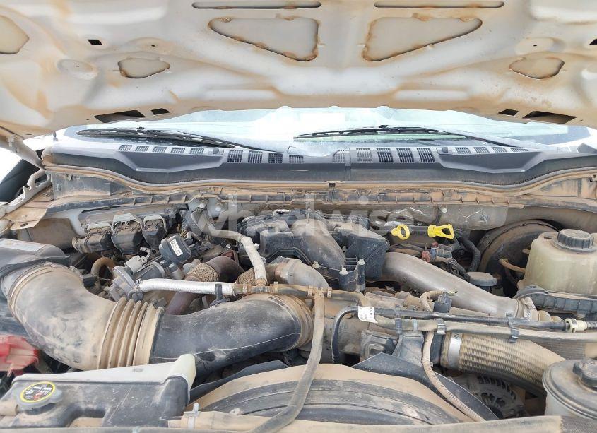 Photo 10 of 2019 Ford F-250 XL (VIN 1FT7W2BTXKEC10594)