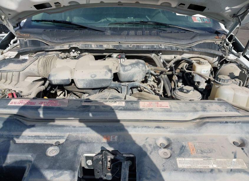 Photo 10 of 2019 Ford F-250 XL (VIN 1FT7X2B66KEC61596)