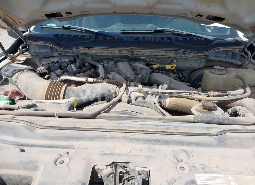 Photo 10 of 2019 Ford F-250 XL (VIN 1FT7X2BT5KEF76850)