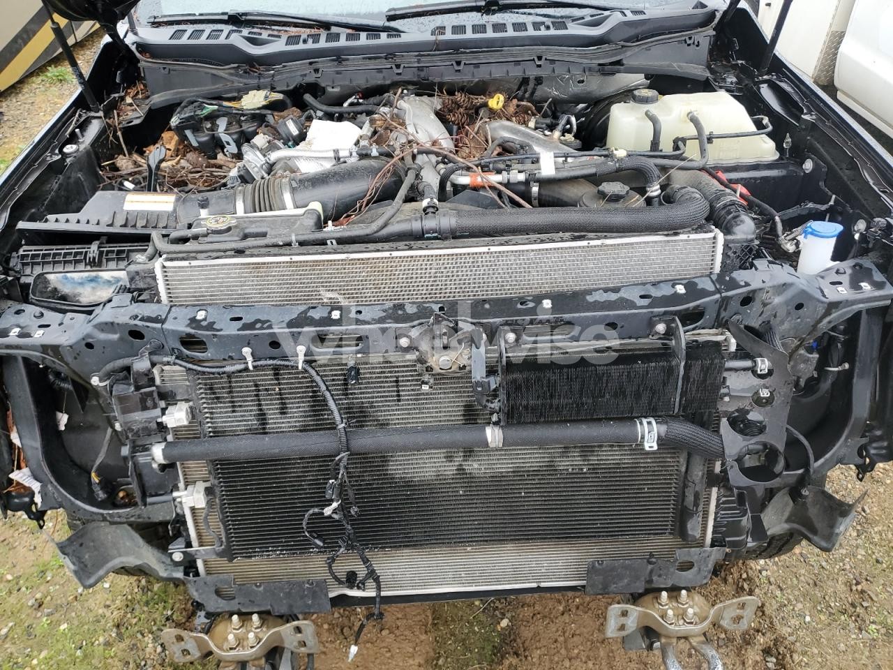 Photo 12 of 2023 FORD F350 SUPER DUTY (VIN 1FT8W3BMXPED70808)