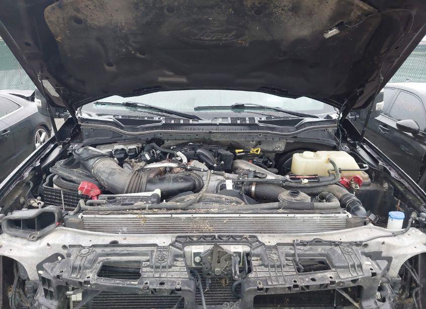 Photo 9 of 2019 Ford F-350 KING RANCH (VIN 1FT8W3BT1KEC96291)