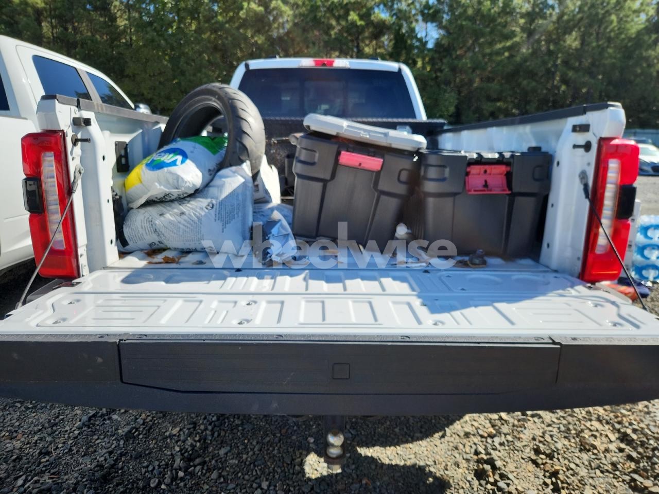 Photo 10 of 2024 FORD F350 SUPER DUTY (VIN 1FT8W3BT7REE80774)
