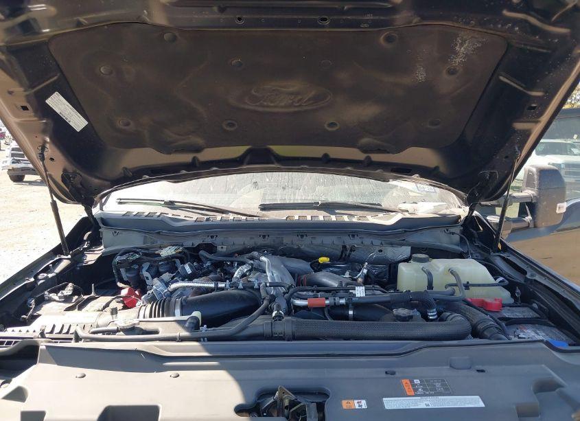 Photo 10 of 2024 Ford F-450 KING RANCH (VIN 1FT8W4DM3REE49193)