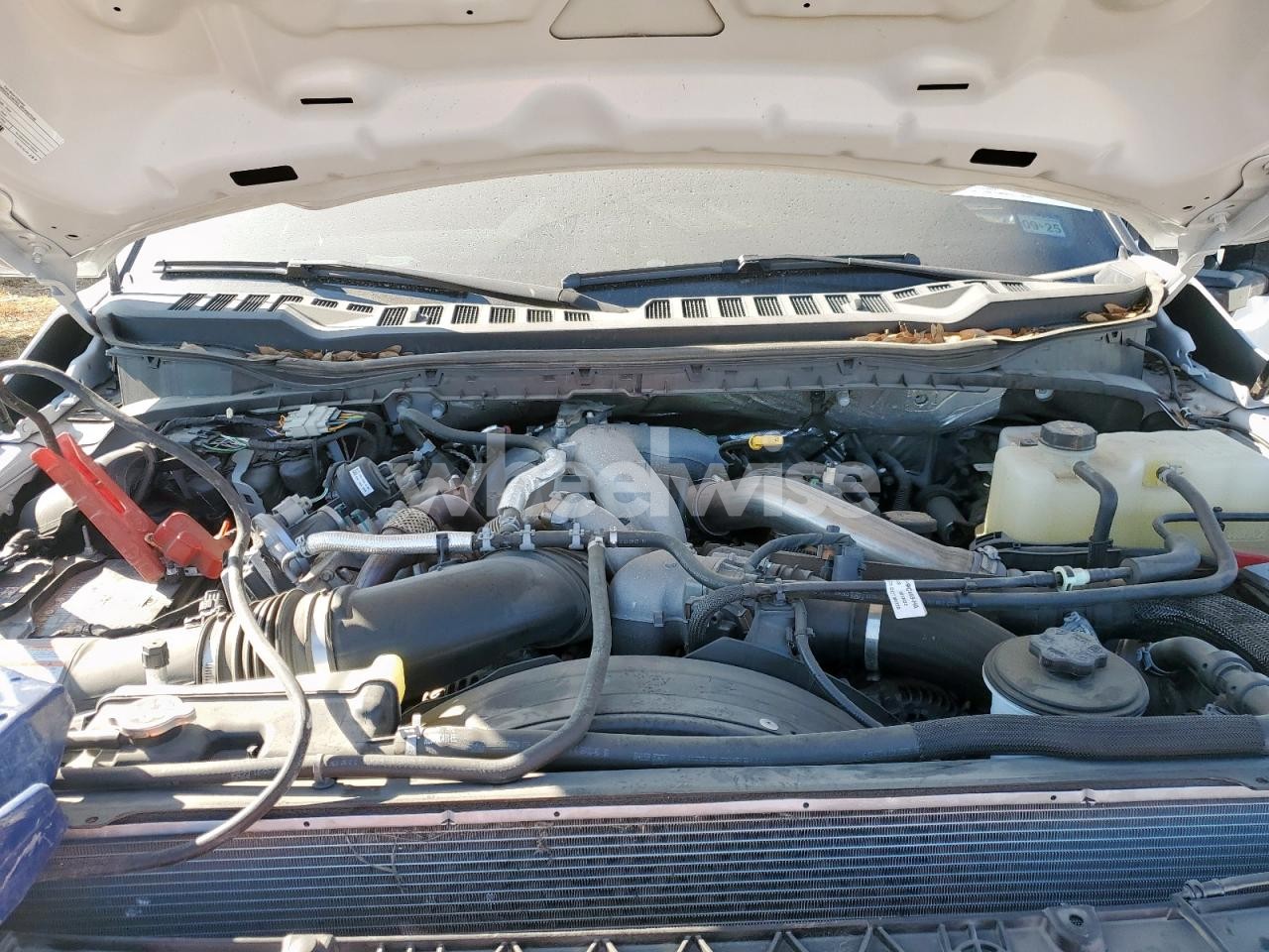 Photo 12 of 2024 FORD F450 SUPER DUTY N/A (VIN 1FT8W4DT5REC01292)