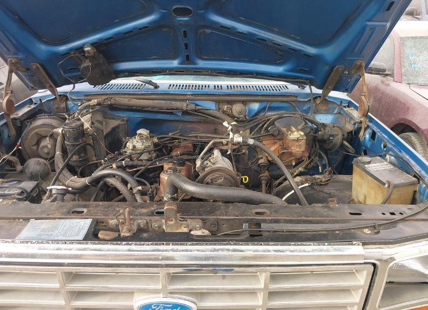Photo 10 of 1985 Ford F150 (VIN 1FTCF15Y4FPA21904)