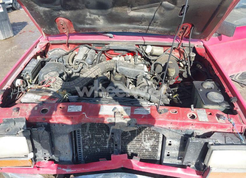 Photo 10 of 1991 Ford Ranger N/A (VIN 1FTCR10A3MTA01388)