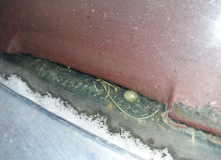 Photo 9 of 1985 Ford F150 (VIN 1FTDF15F4FPA32565)