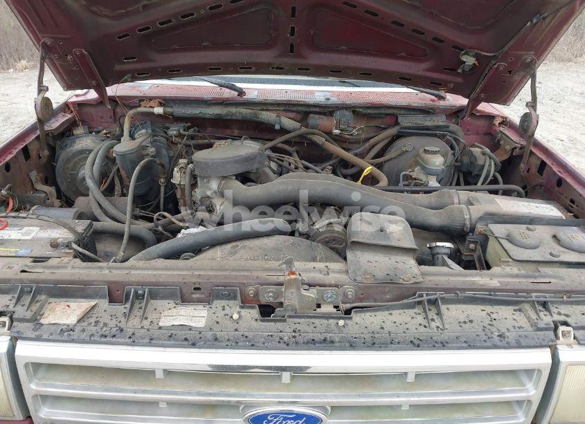 Photo 10 of 1988 Ford F150 (VIN 1FTDF15N0JNB79879)